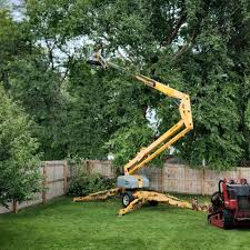 Trusted Bethesda, OH Tree Removal and Landscaping Services Experts